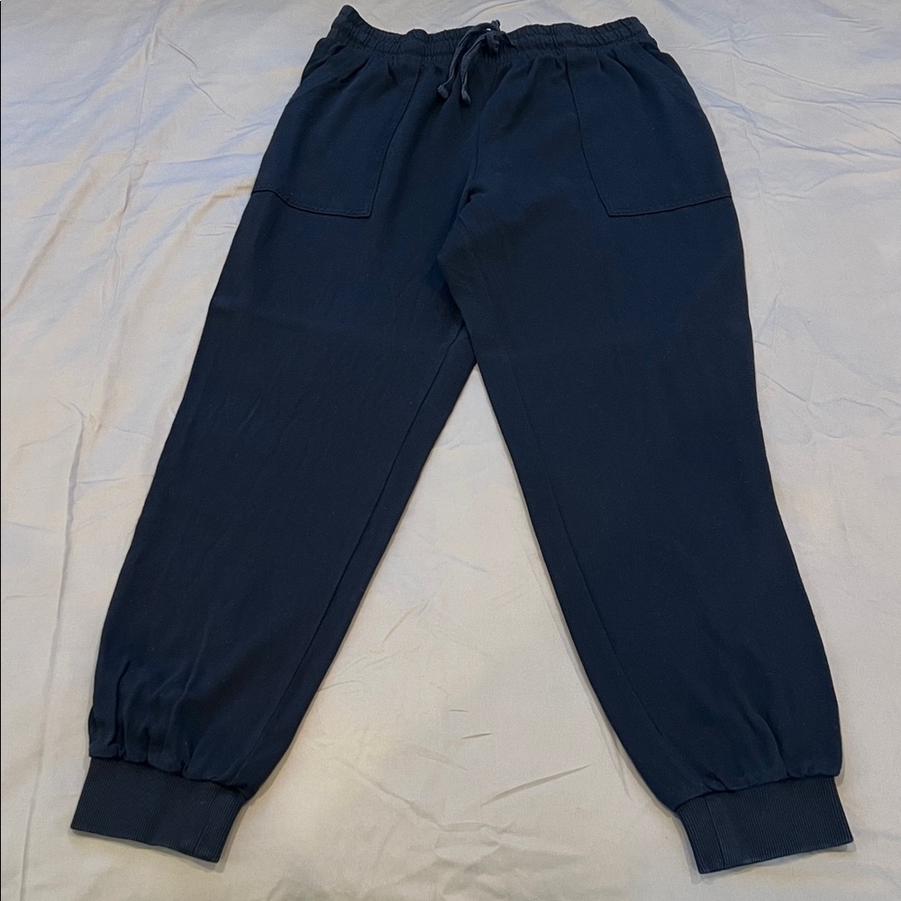 Splendid Navy Twill Joggers